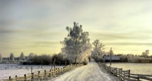 Pismeni sastav za osnovnu školu na temu zima (primer)