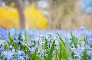 pismeni sastav proleće