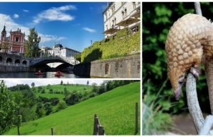 Zanimljiva geografija – pojmovi na slovo LJ