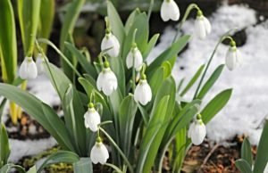 Pismeni sastavi o proleću