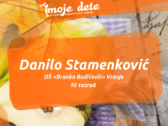 Miris dunje na ormaru – Danilo Stamenković (4. razred)