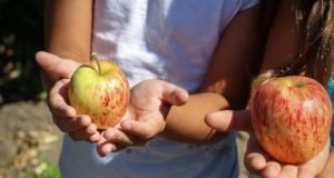 Kako ojačati imuni sistem malog deteta