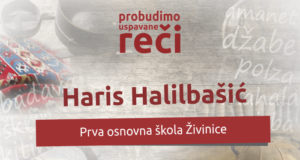 Vakat je da te Kradem Haris Halilbašić