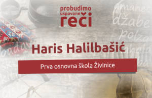 Vakat je da te Kradem Haris Halilbašić