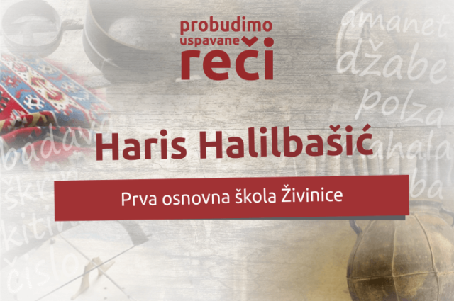 Vakat je da te Kradem Haris Halilbašić