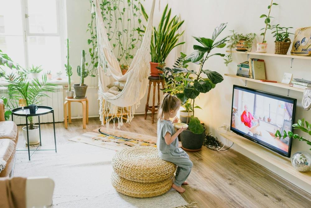 dete-tv