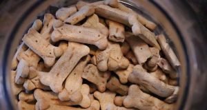 Trainer hrana za pse: Italijanska receptura za zdrav život