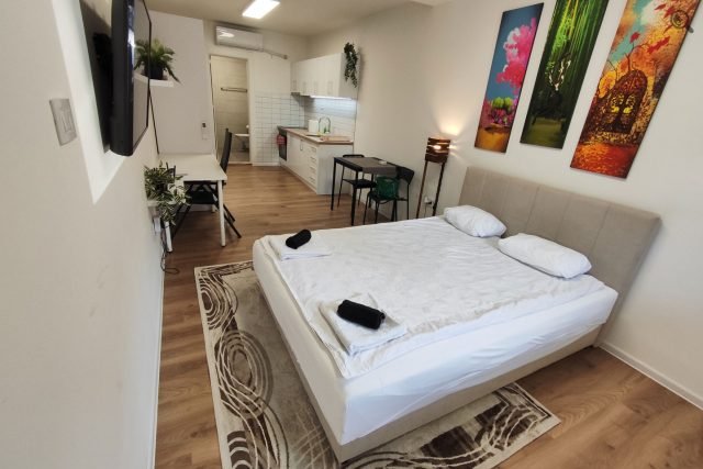 apartmani-beograd-cukarica-apartman-zarkovo-13