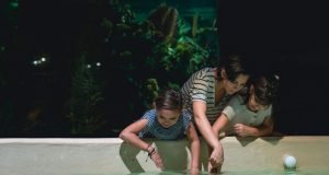 Kako da vaše dete bude bezbedno pored bazena u dvorištu? deca-bazen