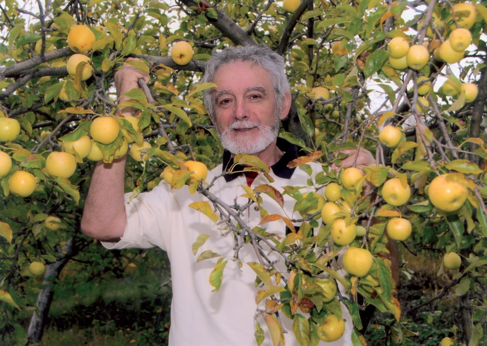 Dobrica Erić, pesnik za decu, na fotografiji iz knjige Priča iz mravljeg sveta